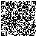 QR code with Colmex contacts