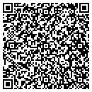 QR code with Premiere Web Design contacts