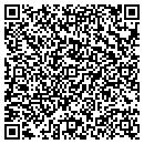 QR code with Cubical Solutions contacts