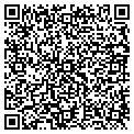 QR code with Tfda contacts
