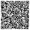 QR code with Walnuts contacts