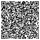 QR code with Pylon Graphics contacts