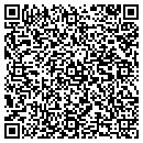 QR code with Professional Inline contacts