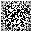 QR code with Carpet Guys The contacts