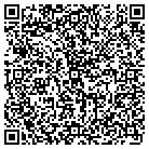 QR code with Professional Carpet Systems contacts