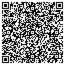 QR code with Protech Access contacts