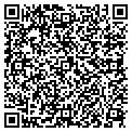 QR code with Tiddies contacts