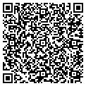 QR code with Gelatin contacts
