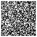 QR code with Celtex Site Service contacts