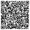 QR code with Bedbugz contacts
