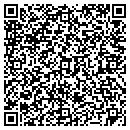QR code with Process Strainers Inc contacts