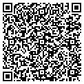 QR code with Collars contacts