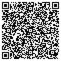 QR code with D Weir contacts