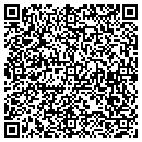 QR code with Pulse Systems Corp contacts