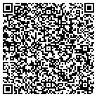 QR code with Publishing Systems Inc contacts