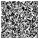 QR code with Pulse System Inc contacts