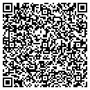 QR code with Pulse Katherine DC contacts