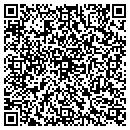 QR code with Collection Connection contacts