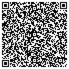 QR code with Pumping Unit Technologies contacts