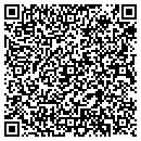 QR code with Copano Field Service contacts