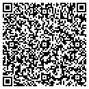 QR code with Professional Service contacts