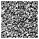 QR code with Public Access Center contacts