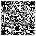 QR code with Cyclone Check Services contacts