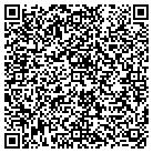 QR code with Professional Touch Interi contacts