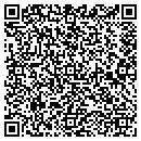 QR code with Chameleon Services contacts