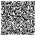 QR code with Subway contacts