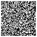 QR code with PSI Temporaries contacts