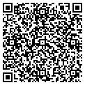 QR code with Palex contacts