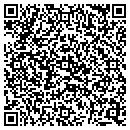 QR code with Public Storage contacts