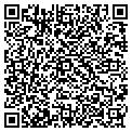 QR code with V Cafe contacts