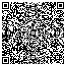 QR code with Charles Ryan CLU Chfc contacts