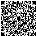 QR code with Cygnus Group contacts