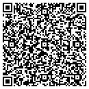QR code with Pyrosol contacts