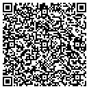 QR code with Precise Securities contacts