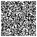 QR code with Premiere Data Group contacts