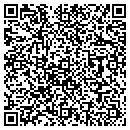 QR code with Brick Doctor contacts
