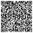 QR code with Carlenes Antique Spot contacts