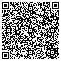 QR code with V F W contacts