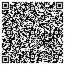 QR code with Pyramid Travel Inc contacts