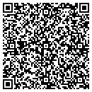 QR code with Promotion & Parties contacts