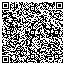 QR code with Pumping Unit Service contacts