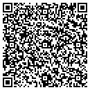QR code with Princeton Review contacts