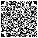 QR code with Chaos Software Group contacts