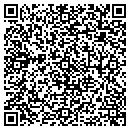 QR code with Precision Maps contacts