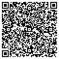 QR code with Gavlon contacts