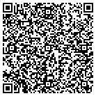 QR code with Professional Brick Tile contacts